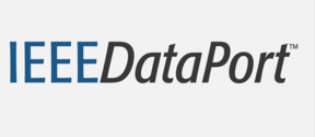IEEE in blue font followed by DataPort in dark grey font